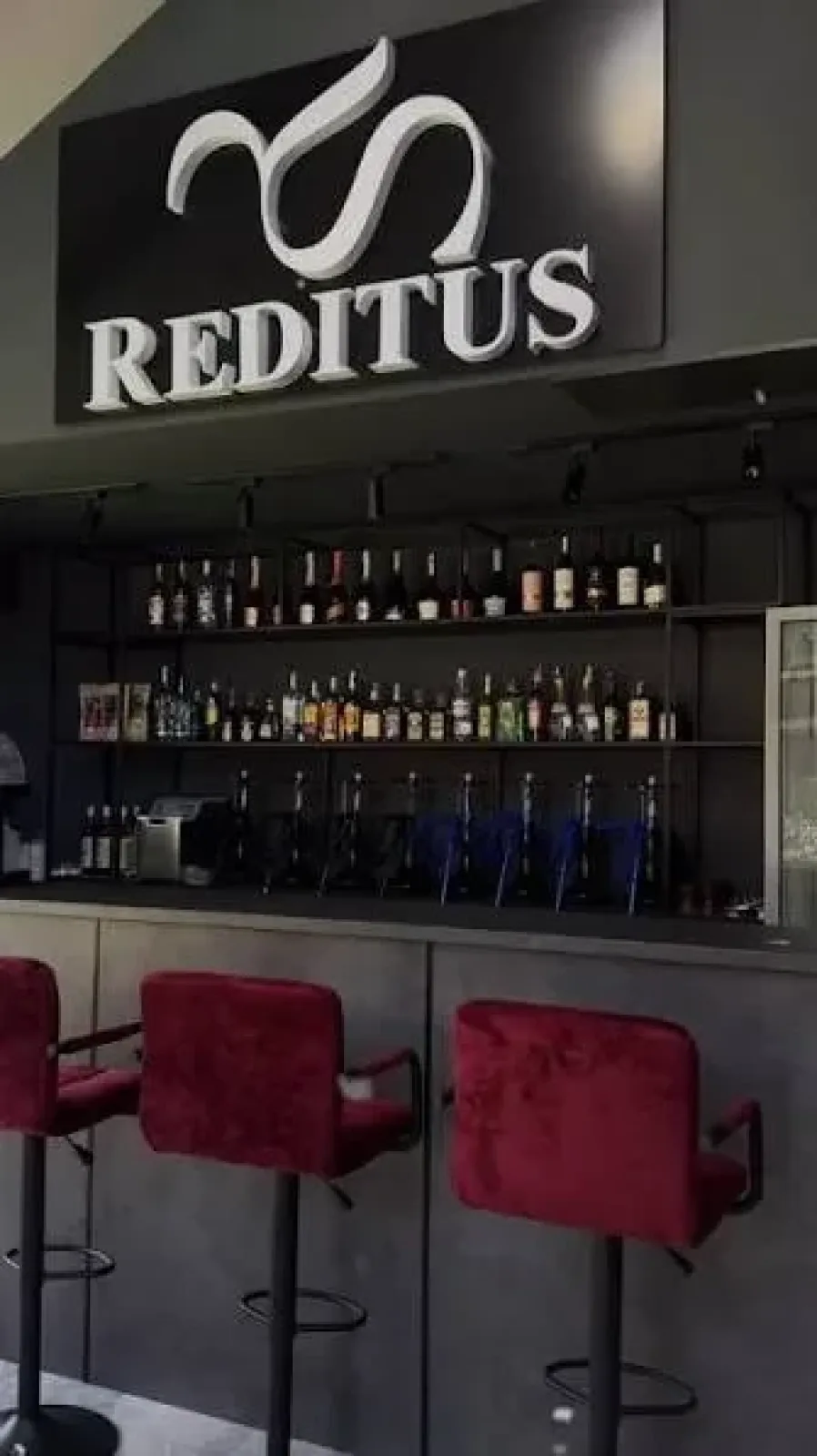Reditus