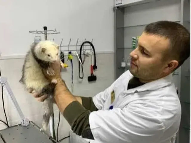 ZOO Life