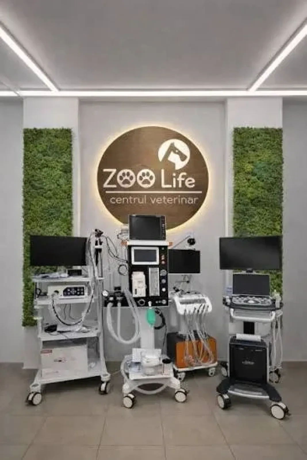 ZOO Life