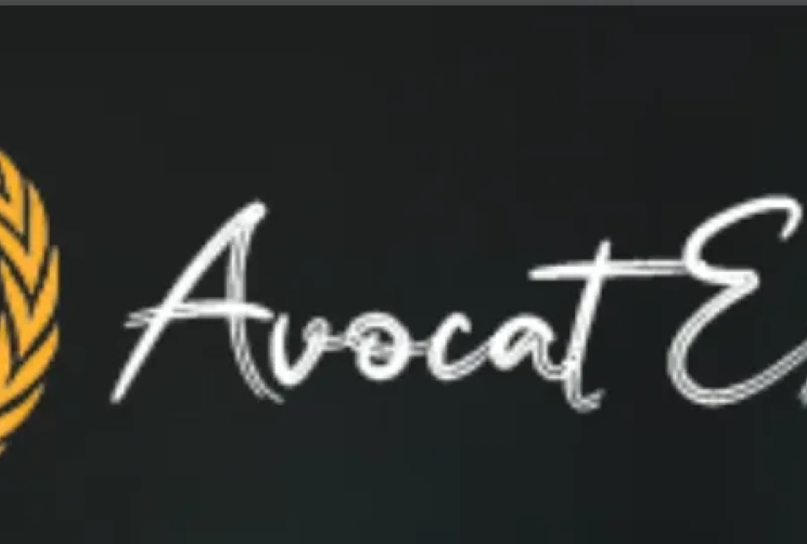 Avocat Expert