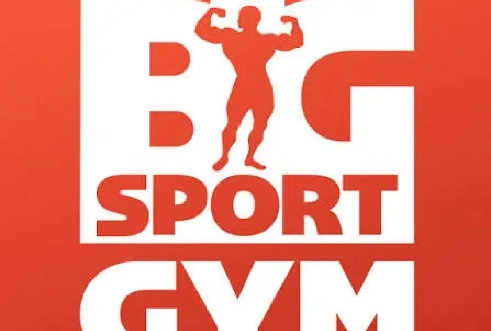 BIGSPORT GYM